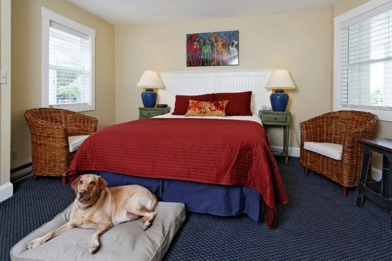 [Dog & Pet Friendly] King Hotel Rooms Rockport & Rockland Maine Coast