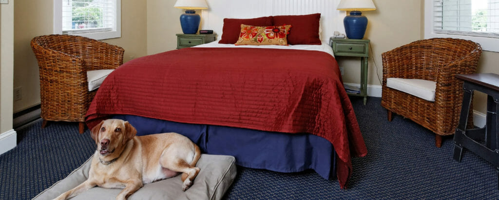 pet friendly hotel rockland maine