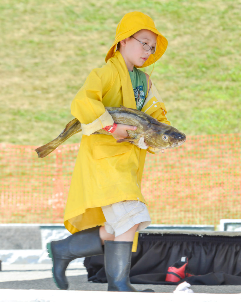 9 things you didn't know about the maine lobster festival - codfish carry