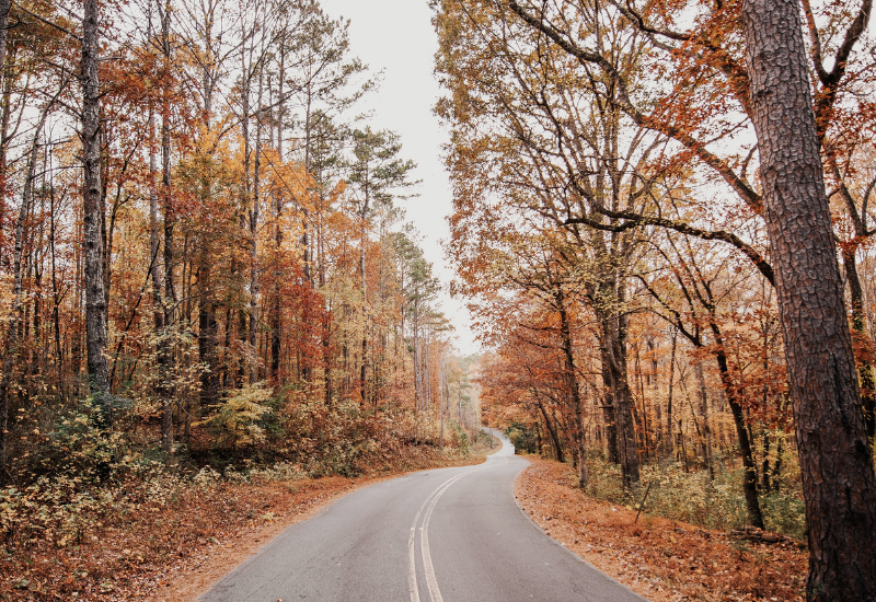 Best Coastal Maine Destinations for Fall Foliage