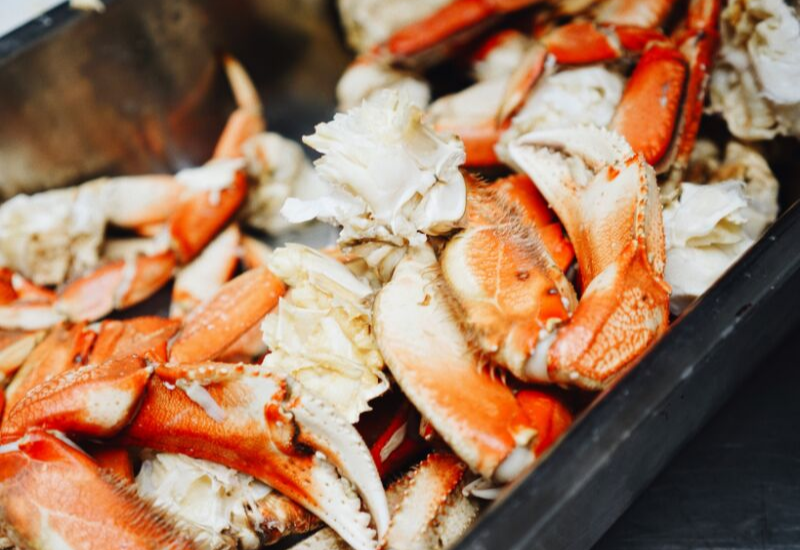 Best Restaurants in Camden Maine for Fresh Seafood