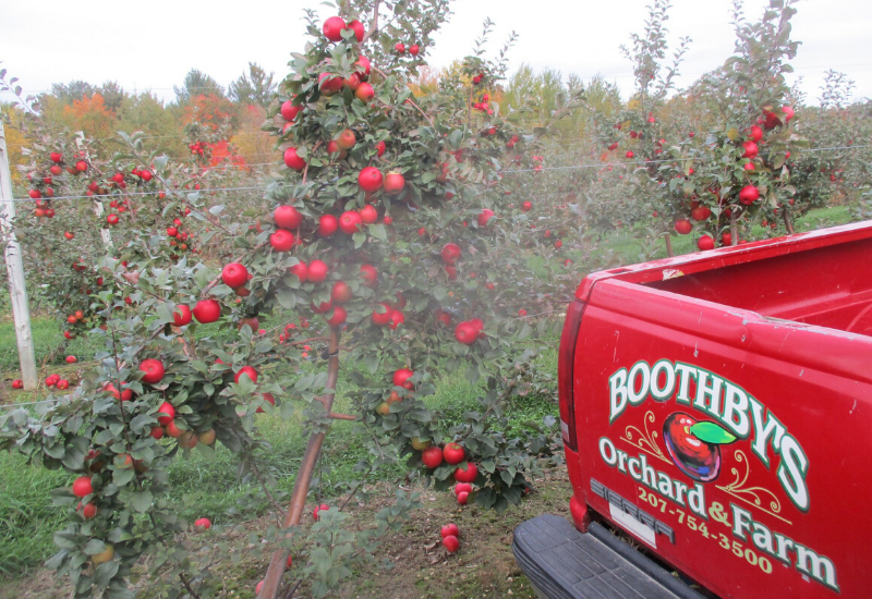 Boothby Orchard and Farm Winery - one of the Best Rockland Maine Wineries and Vineyards in MidCoast Maine