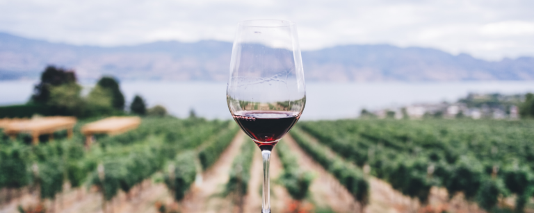 best vineyards and wineries in rockland maine and midcoast maine