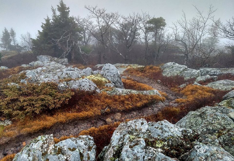 hiking rockland maine in fall